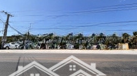 Đất Biển Bình Thuận Đường Quy Hoạch 29M Thông Thẳng Ra Biển