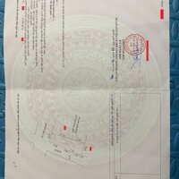 Bán 116m2 lô góc trục chính kinh doanh: Lạc hồng, Văn Lâm: 0988663893