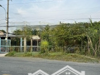 Đất Thổ Cư 2 Mặt Tiền Đường Thanh Niên, Bình Chánh: 10X50M. Vị Trí Đẹp