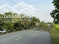 Đất Thổ Cư 2 Mặt Tiền Đường Thanh Niên, Bình Chánh: 10X50M. Vị Trí Đẹp