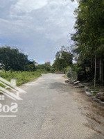 Chính Chủ Cần Bán Đất Biệt Thự Tân Việt, Đức Thượng, Hoài Đức