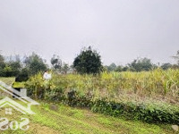 Sốt Nóng! Lô Đất 2263M2 - 2 Mặt Tiền Khủng 40M Liên Sơn, Lương Sơn! Giá Tốt Chốt Ngay Kẻo Mất