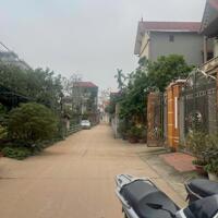 Đất Tam Thuấn Phúc Thọ đường ô tô giá rẻ bất ngờ chỉ 31tr/m2 chính chủ
