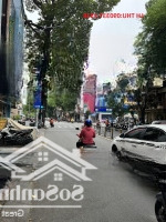 Tòa Nhà 8 Tầng Trung Tâm Phường Bến Thành Giá Chỉ 69 Tỷ Tl