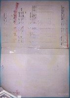 Bán Đất Vườn Quê Tại Xã Tân Nhựt, Huyện Bình Chánh, Không Gian Tươi Mát Yên Bình. 33 Tỷ, 10.300 M2