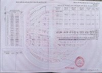 Bán Đất Vườn Quê Tại Xã Tân Nhựt, Huyện Bình Chánh, Không Gian Tươi Mát Yên Bình. 33 Tỷ, 10.300 M2