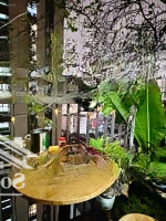 Căn Hộ 141M - 3N2Vs- 14 Tỷ Chung Cư Sunshine Golden River - Phú Thượng Tây Hồ:o966769078