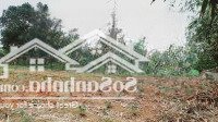 Lô Đất Đẹp 13X25M Đào Xá, Thanh Thuỷ, Phú Thọ Cách Đường Nhựa Liên Xã Chỉ 300M, Đường Tl317 Chỉ 2Km