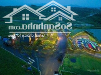 Đất Nền Đã Vận Hành Homestay 2 Năm Có Lượng Khách Du Lịch Đông