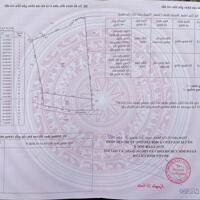 Bán đất vườn quê tại xã Tân Nhựt, huyện Bình Chánh, không gian tươi mát yên bình.