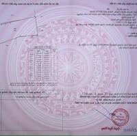 Bán đất vườn quê tại xã Tân Nhựt, huyện Bình Chánh, không gian tươi mát yên bình.