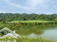 Bán 8632 M2 Đất Tại Thành Tân - Thạch Thành - Thanh Hoá