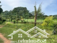 Bán 8632 M2 Đất Tại Thành Tân - Thạch Thành - Thanh Hoá