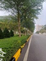 Bán Nr Tại An Thọ 1, 4,9 Tỷ, 32M2, 3 Phòng Ngủ 4 Vệ Sinh 5 Tầng, 150 Ra Đại Lộ Thăng Long, Liên Hệ: 0904529981.