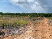 450 Triệu/ 1000M2 Đất Nông Nghiệp Tại Hòa Bình, Xuyên Mộc, Sổ Đỏ