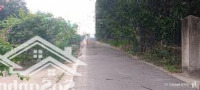 Bán Đất Cam Tân Đường Nhựa 253M 9X27, Dân Cư Hiện Hữu, Gần Kđt & Sân Golf Vinhome, Giá Chỉ 1.6 Tỷ!