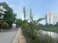 Đất Biệt Thự View Sông, 354M2 Full Thổ Cư, Sổ Hồng,Mặt Tiềnđường Nhựa 8M Giáp Tphcm - Giá Tốt 31 Triệu/M2