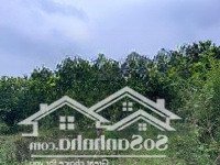 Bán 2077M2 Có Thổ Cư Chỉ 790T Tại Phú Vinh, Tân Lạc, Hoà Bình