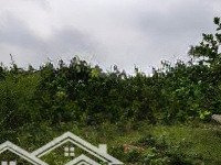 Bán 2077M2 Có Thổ Cư Chỉ 790T Tại Phú Vinh, Tân Lạc, Hoà Bình