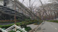 Cc Cần Bán Căn Biệt Thự Khu K - Kđt Ciputra, Tây Hồ, Hn. Giá Tốt Nhất Thị Trường