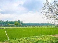 Hàng Hiếm Kín Mít - Băng 2Có Thương Lượng309 Hướng Đạo Tam Dương - 208M2 Full Thổ Cư - Mặt Tiền 6,5M