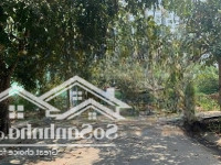 Bán Lô Đất Dự Án Đường Liên Phường Q9 Gần Global Citydiện Tích125M Giá Bán 10,5 Tỷ Cạnh Công Viên Trường Học
