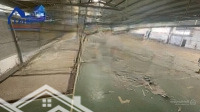 Cho Thuê Nhà Xưởng 2200M2 Giá Rẻ Chỉ 110 Triệu. Tp Biên Hòa - Đồng Nai 0937980190