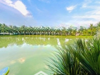 Bán Gấp Hoa Phượng 04 - 38 Siêu Vip Cạnh Almax 433,5M2 Đất, Hướng Đn View Hồ Rộng Miên Man, 120Tỷ