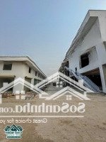 Bán Kiot Chợ Nếnh - 2 Tầng - 56M2 - Chỉ 1,9 Tỉ - Phù Hợp Kinh Doanh, Cho Thuê Lợi Nhuận Cực Tốt