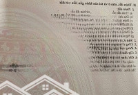 Bán Gấp Lô Đất Khu Centerhome Đường 11, Phường Trường Thọ, Tp.thủ Đức