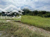 Bán Đất Tại Thị Trấn Hậu Nghĩa, Đức Hòa, Long An, 1,4 Tỷ, 176 M2 View Đẹp Giá Tốt