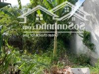 Bán Đất Thổ Cư Đường Tân Thới Nhì 25, Sổ 2025, 7.4M X 15.5M, 3.4 Tỷ
