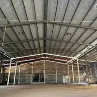 CHO THUÊ XƯỞNG CƯA XẺ & VIÊN NÉN GỖ – CHƠN THÀNH, BÌNH PHƯỚC  Quy mô lớn – Có sẵn pháp lý – Phù hợp sản xuất gỗ, năng lượng sinh học