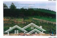Bán Đấu Giá 1601,2M2 Đất Tại Nghĩa Đàn, Nghệ An