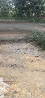 Đất Thôn 9, Ba Trại, Ba Vì, Hn Giá Đầu Tư Chỉ Hơn 2 Triệu/M2 Toàn Bộ Đất Trong Sổ Cách Tl87A Chỉ 200M