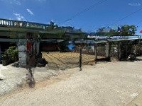 Bán Đất Tại Đường Đt 639, Xã Cát Hải, Phù Cát, Bình Định, 1,25 Tỷ, 254M2