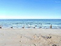 Bán Đất Tại Đường Đt 639, Xã Cát Hải, Phù Cát, Bình Định, 1,25 Tỷ, 254M2