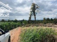 Đất Thị Trấn Ea Knốp- Ea Kar- Đắk Lắkdiện Tíchhơn 500M2 Quy Hoạch Đất Ở Đô Thị Với 21M Mặt Tiền Giá 179