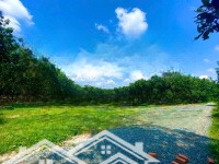 Bán Đất Chính Chủ Tại Tây Ninh Giá Ưu Đãi Ace Thiện Chí Ib Em Ngay Nhận Giá Ưu Đãi Nha