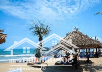 Chào Bán Tòa Căn Hộ View Biển Cực Đẹp Dòng Tiền 45 Triệu/Th, Mặt Tiền Trực Diện Biển Non Nước