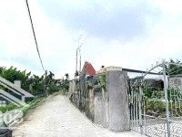 Hàng Hiếm!! Lô Duy Nhất Chỉ Hơn 500 Triệu Đất Ngũ Đoan, Kiến Thụy, Ô Tô Vào Tận Đất