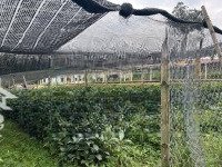 Cần Bán Gấp 1.364 M2 Tại Khu 5, Xã Khải Xuân, Thanh Ba, Phú Thọ Giá 990K/M2