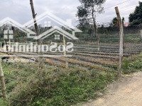 Cần Bán Gấp 1.364 M2 Tại Khu 5, Xã Khải Xuân, Thanh Ba, Phú Thọ Giá 990K/M2