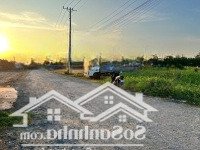 Bán Đất Tại Đt 826, Cần Đước, Long An, Ngay Đình Phước Tuy. 330 Triệu/130M2. Sổ Riêng, Full Thổ.