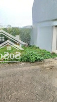 Bán Đất Tại Xã Nam Hồng, Đông Anh, Hà Nội, 82 Triệu / M2, 61.5 M2