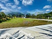 Bán Gấp 124,5M2 Ngay Tt Dmc Sẵn 50M2 Thổ Cư, Cáchmặt Tiềnchu Văn An Chỉ 300M Giá Bán 499 Triệu. Có Shr
