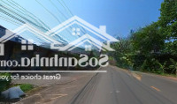 Cần Bán Gấp Lô Đất Đ.huỳnh Văn Lũy,Vĩnh Tân, Tân Uyên, Bd, 100M2,800M