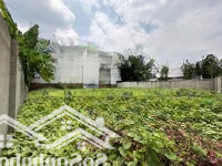 500M2. 20*25. Cạnh Khu Dân Cư Himlam Trường Thọ. Shr. Giá: 19 Tỷ Chín.( 39 Triệu/M2).