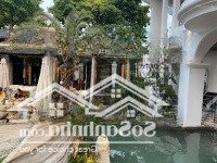 Bán Khu Phố Ẩm Thực Nhà Hàng Tiệc Cưới, Cà Phê Qui Mô Lớn, 5523M2