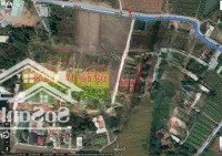 Bán Lô Đất 1638M2 Hưng Long, Bình Chánh Có 300M2 Thổ Cư Qh Khu Dân Cư 11 Tỷ Khoảng 6 Triệu7/M2